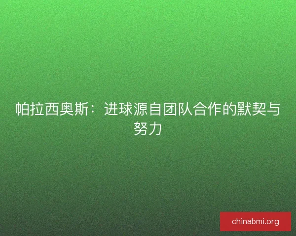 帕拉西奥斯：进球源自团队合作的默契与努力