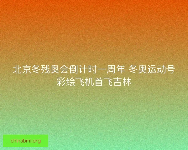 北京冬残奥会倒计时一周年 冬奥运动号彩绘飞机首飞吉林