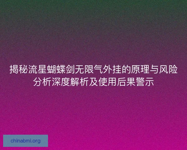 揭秘流星蝴蝶剑无限气外挂的原理与风险分析深度解析及使用后果警示