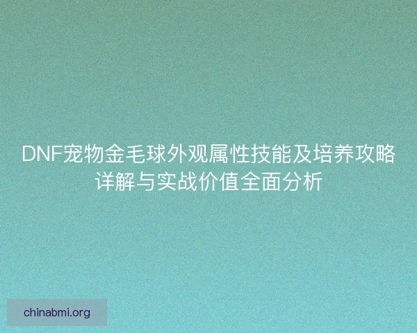 DNF宠物金毛球外观属性技能及培养攻略详解与实战价值全面分析
